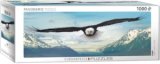 Eurographics Panoramique - Eagle 