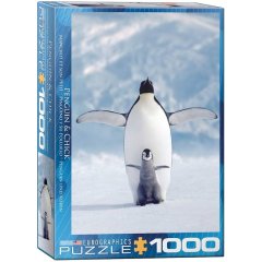 Eurographics - Penguin & Chick 