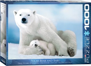 Eurographics - Ours Polaire et Ourson