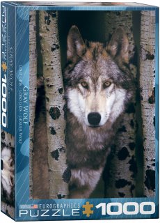 Eurographics - Loup Gris