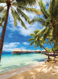 Nathan - Plage De Bora-Bora, Polynésie Française
