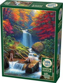 Cobble Hill - Mystic Falls In Autumn