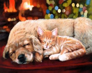 Figured Art - Sieste Entre Amis