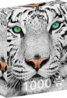 Enjoy - White Siberian Tiger 