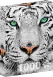 Enjoy - White Siberian Tiger 