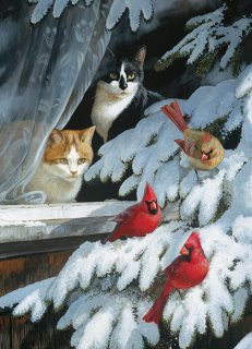 Bird Watchers