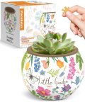 PieceRelax Puzzle Planter Little Garden Style 80 pièces