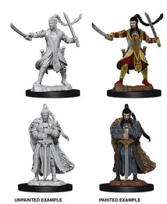 DnD Unpainted Mini: Male Elf Paladin