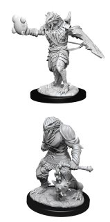 D&D Unpainted Minis Wv11: Male Dragonborn Paladin