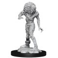 D&D Unpainted Minis Wv14: Drowned Assassin / Asetic