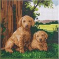 Crystal Art Kit - Puppies by the Fence